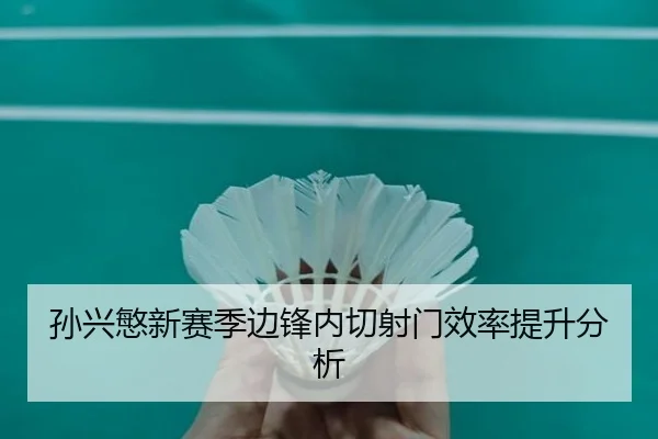 sun-xing-min-xin-sai-ji-bian-feng-nei-qie-she-men-xiao-lv-ti-sheng-fen-xi-3-395.jpg