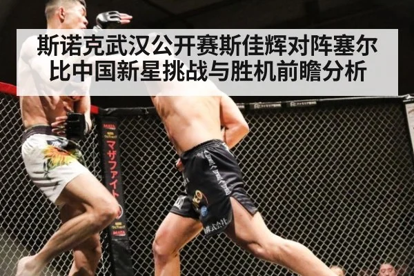 斯诺克武汉公开赛斯佳辉对阵塞尔比中国新星挑战与胜机前瞻分析
